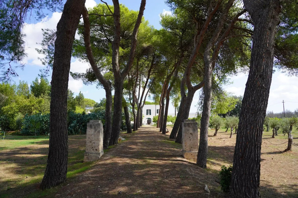 Masseria Filippo de Raho - Agri Bio Relais