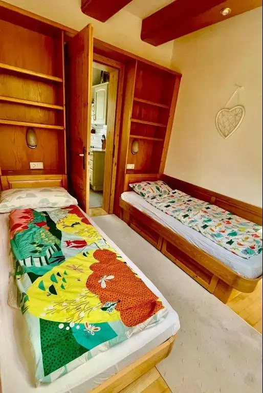 Apartment Dimnik