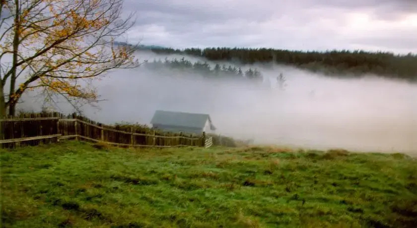Turtleback Farm Inn