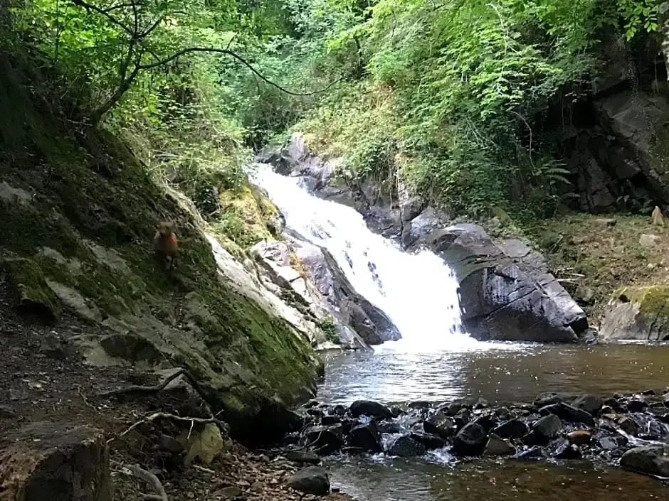 B&B Le Saut de la Bergère
