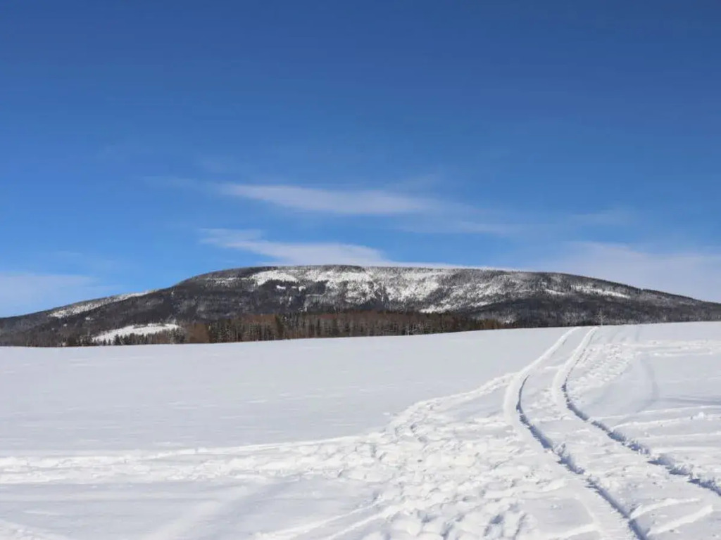 Holiday Hill 41