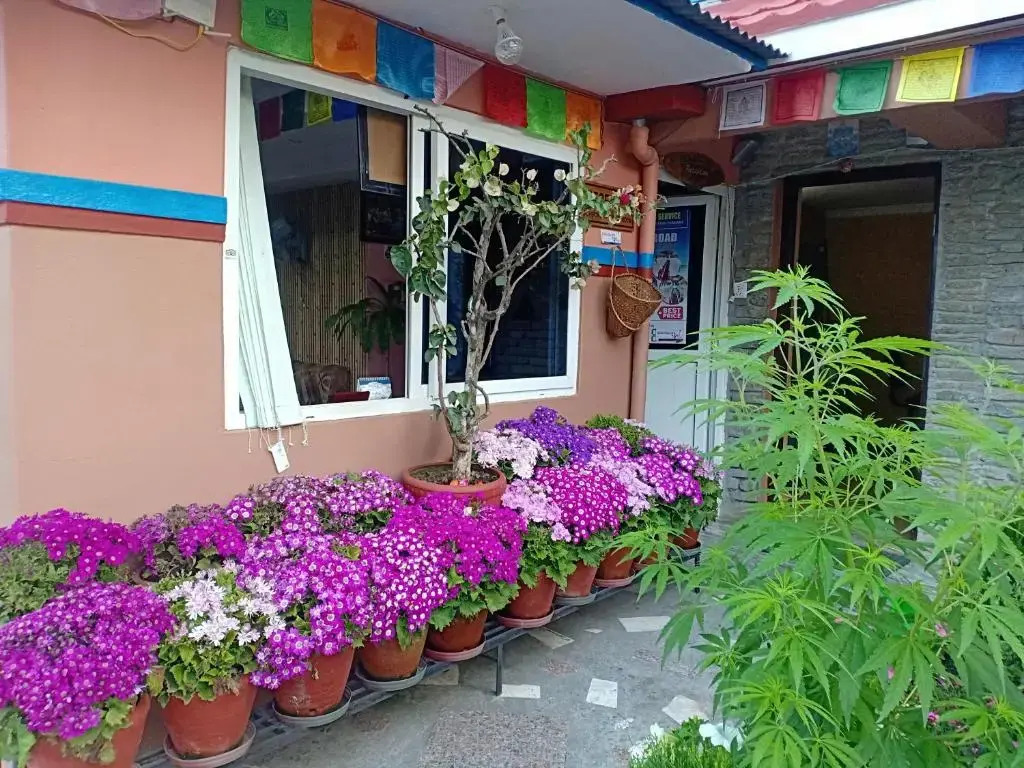Green Peace Lodge