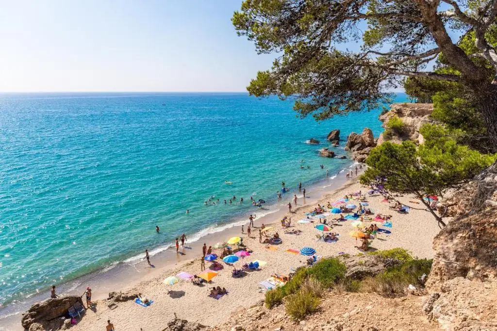 Pino Alto Holiday Homes Martin 19