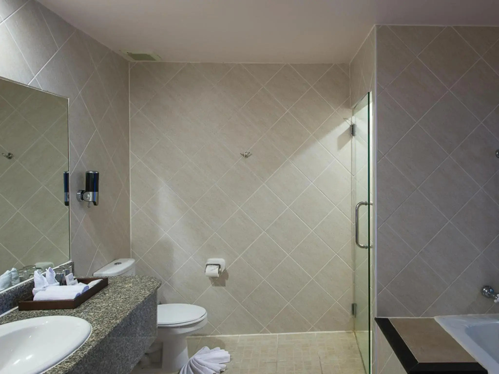 Ibis Singapore Novena