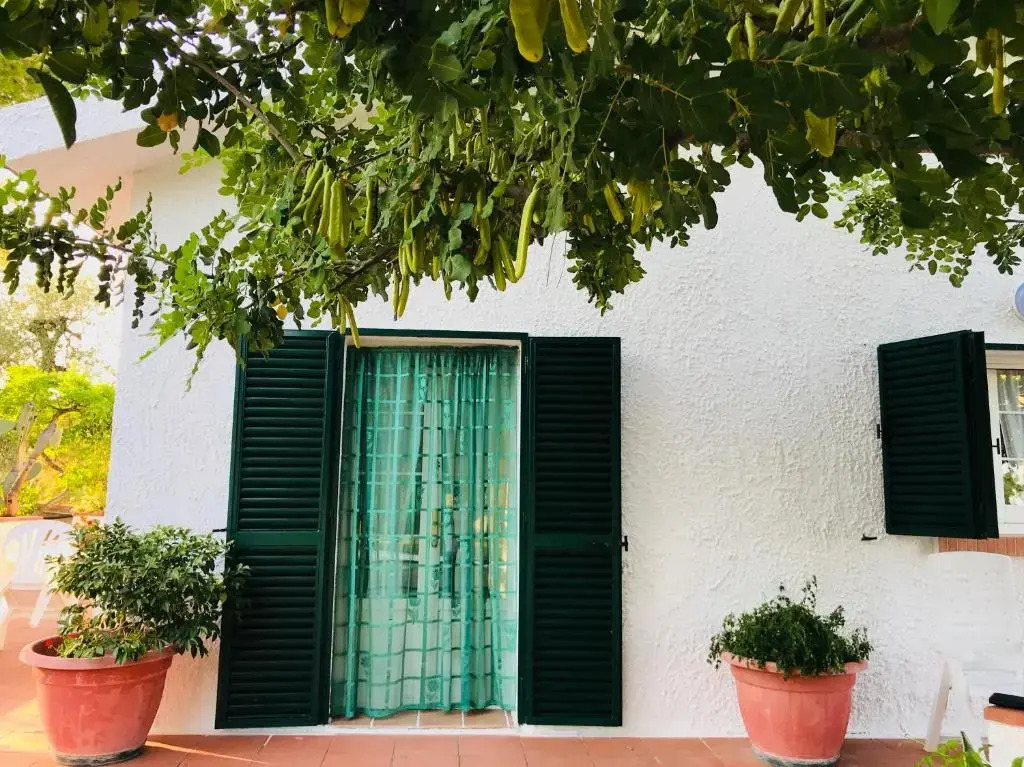 Villa Il Carrubo - Basilicata