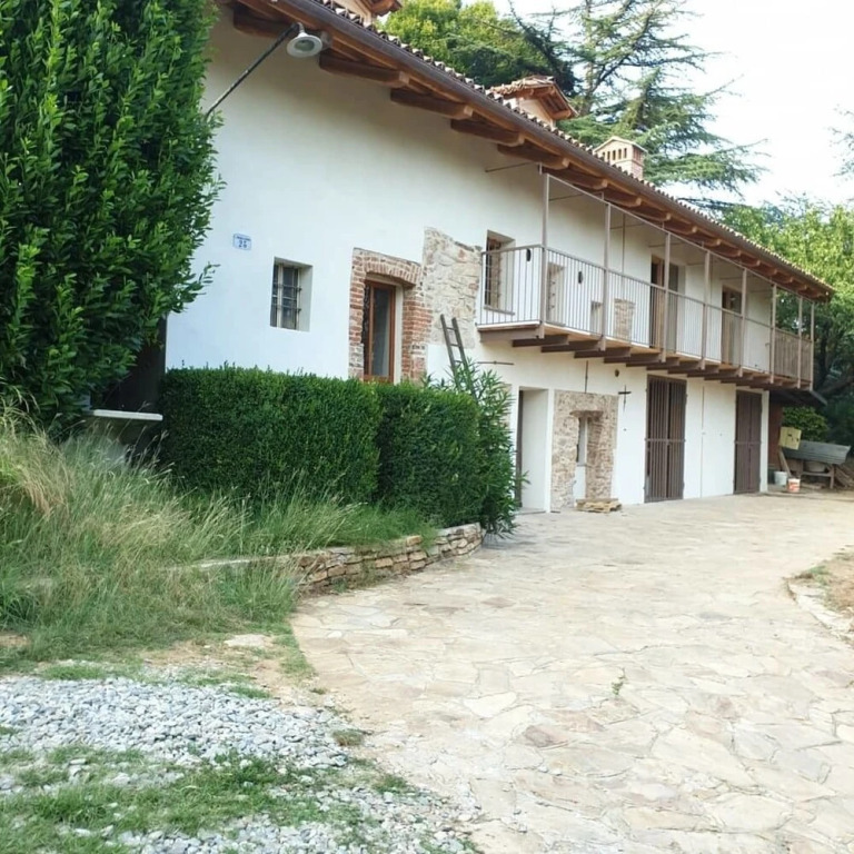 Luovo e la faina