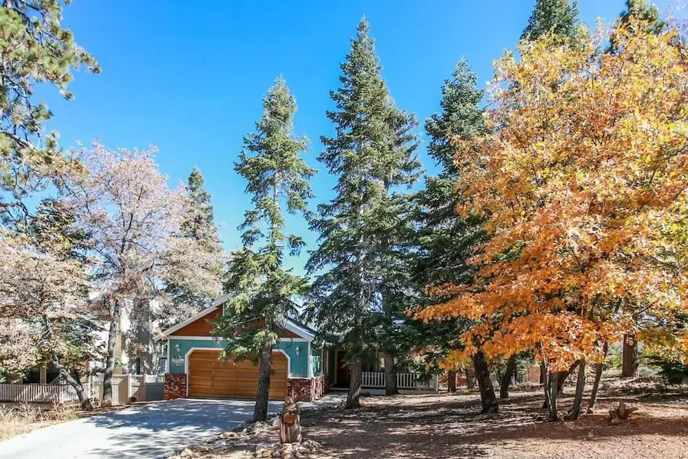 Moonridge Views-1892 by Big Bear Vacations