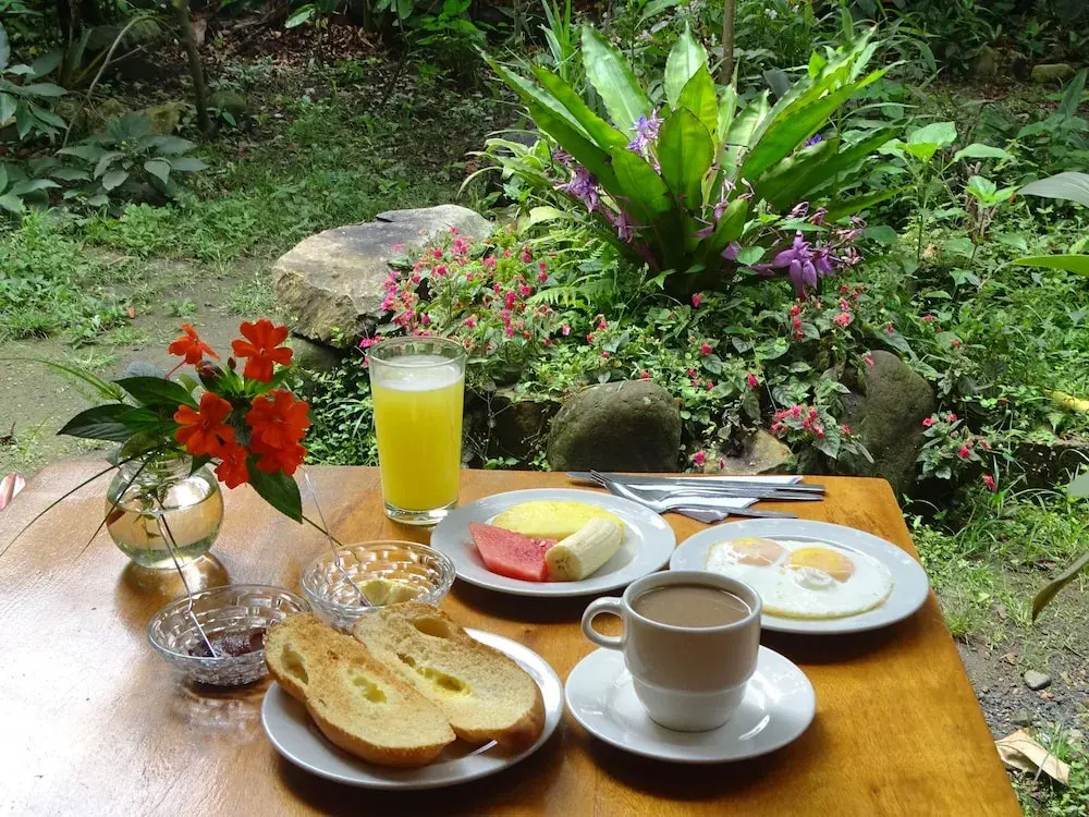 Cabañas Armonía y Jardín de Orquídeas