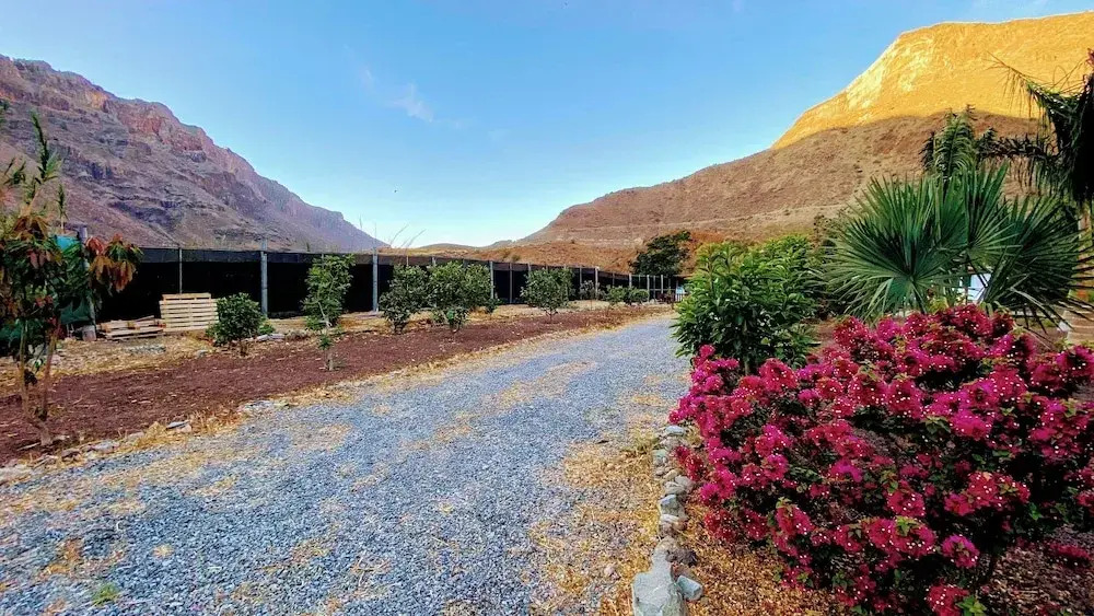 Renovated Tiny House in the Country Near Fataga