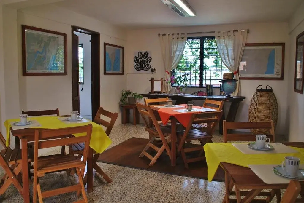 Pata de Perro Bacalar