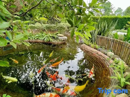 River valley resort แอทน่าน