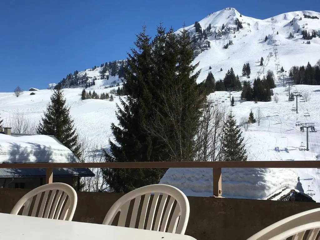Appartement Le Grand-Bornand, 3 pièces, 9 personnes - FR-1-467-98
