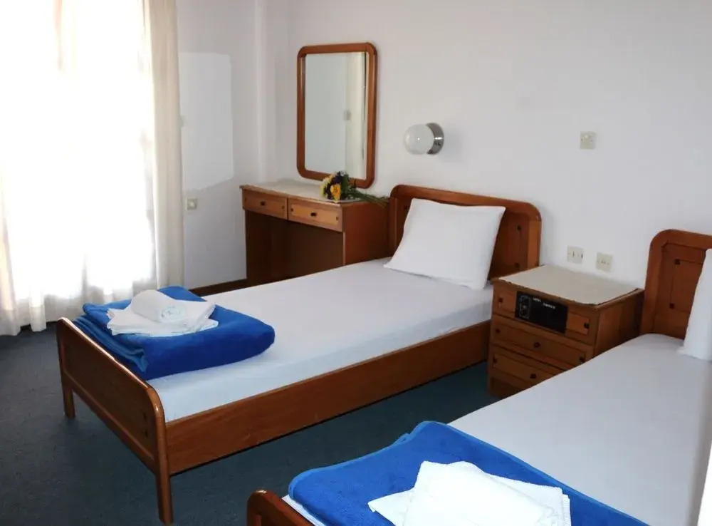 Hotel Theopisti