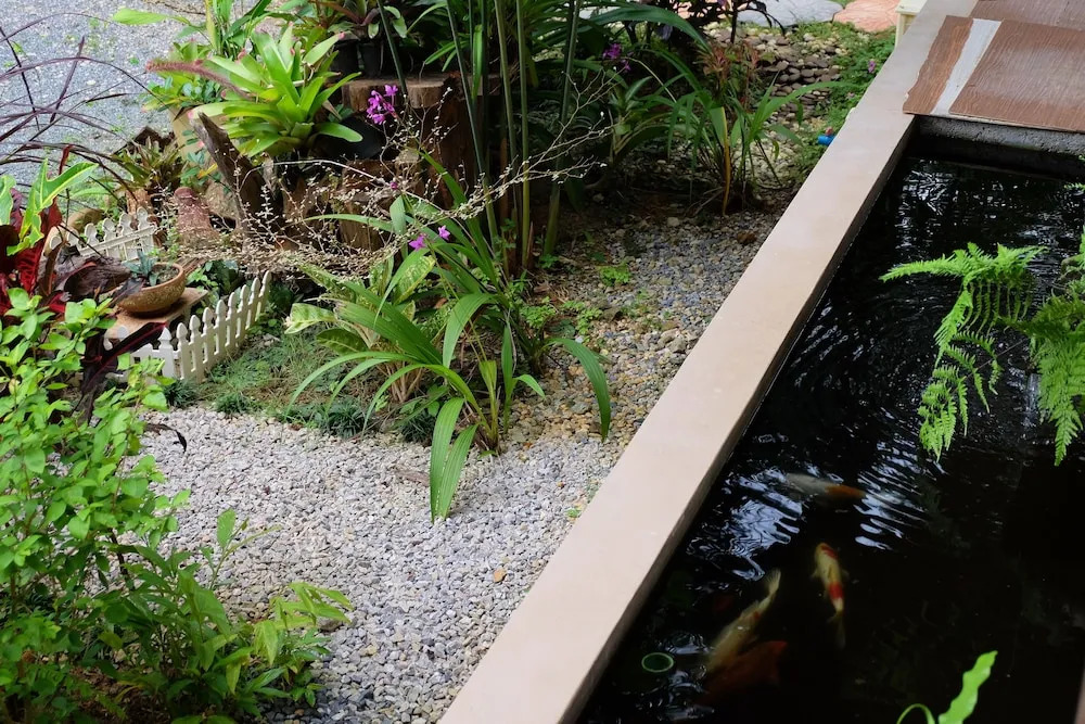 Tonpalm Farmstay