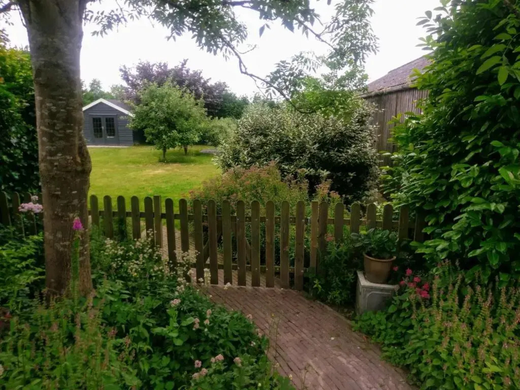 Nabij de Molen