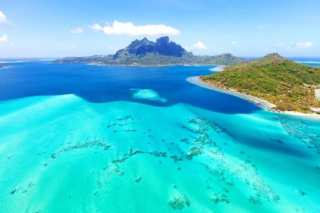 Studio Moana