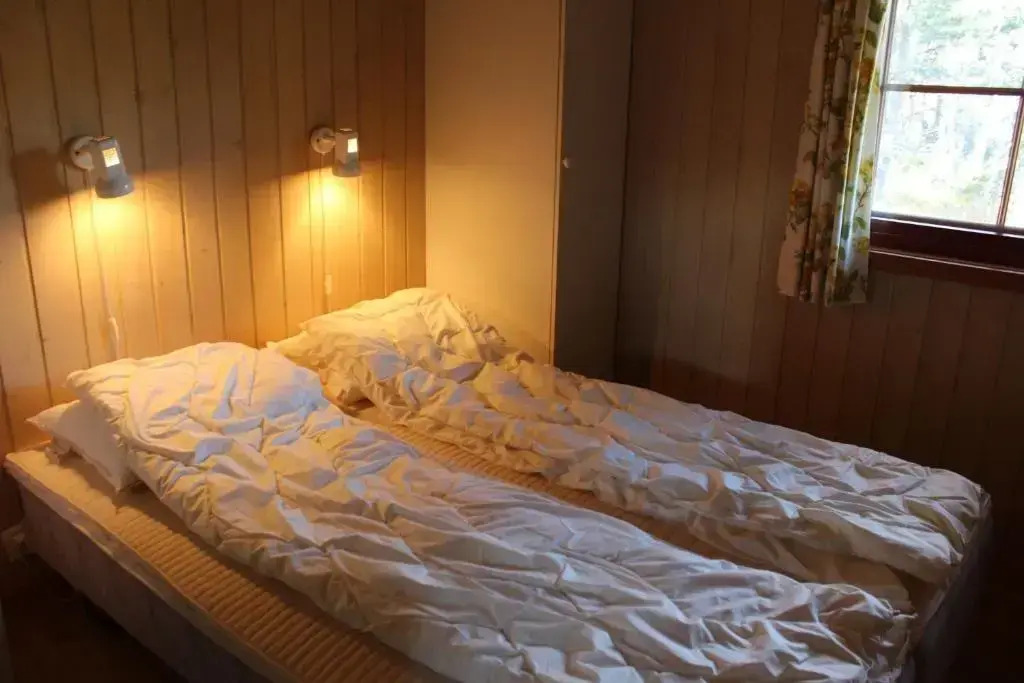 Ådnebu by Norgesbooking - cabin with 3 bedrooms