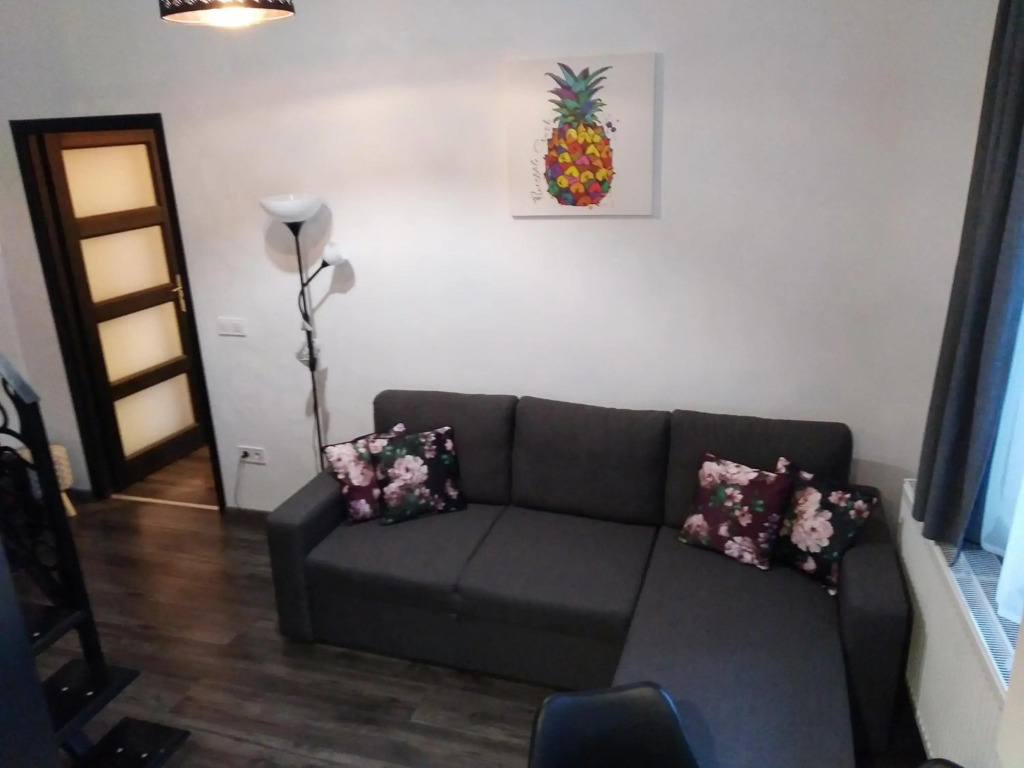 DownTown DeLuxe Apartment