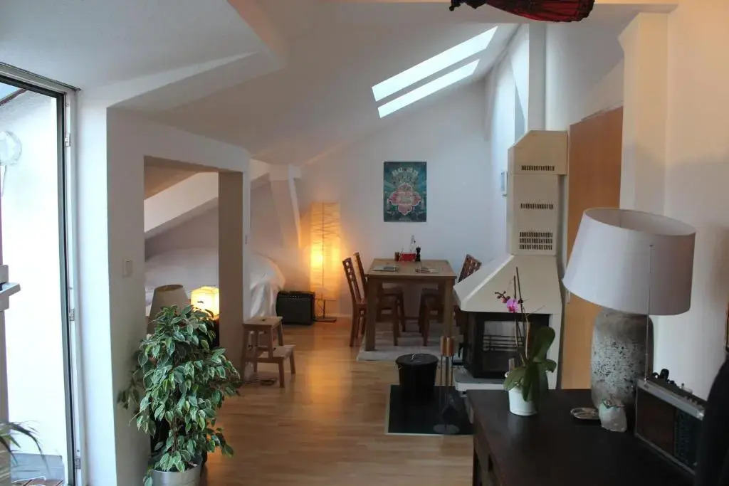 Rooftop Loft Berlin Mitte and Bikes