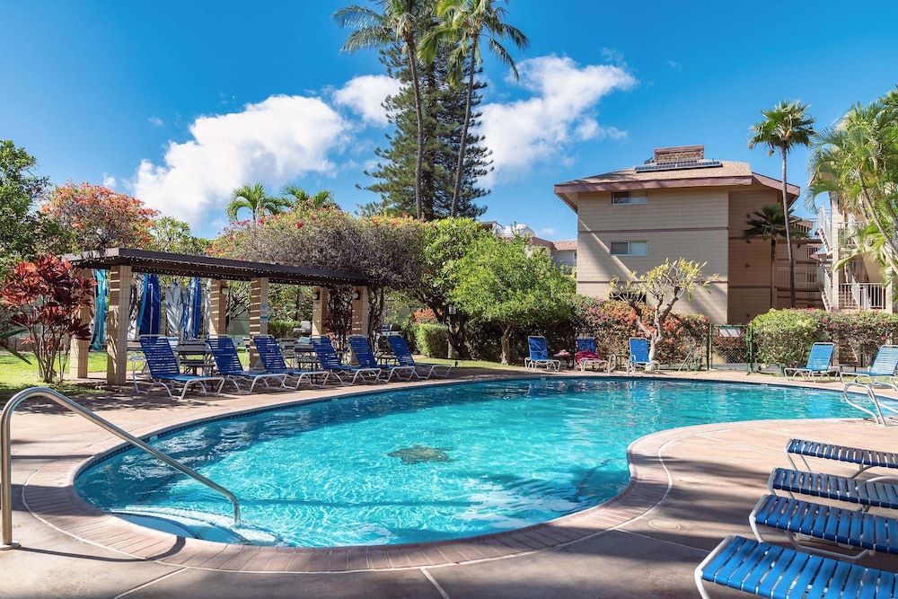 Haleakala Shores A-411 - Modern 2br/2ba, 2 King Beds, Sleeps 4, Split AC, Wi-fi