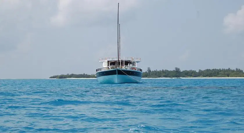 New Flying Fish