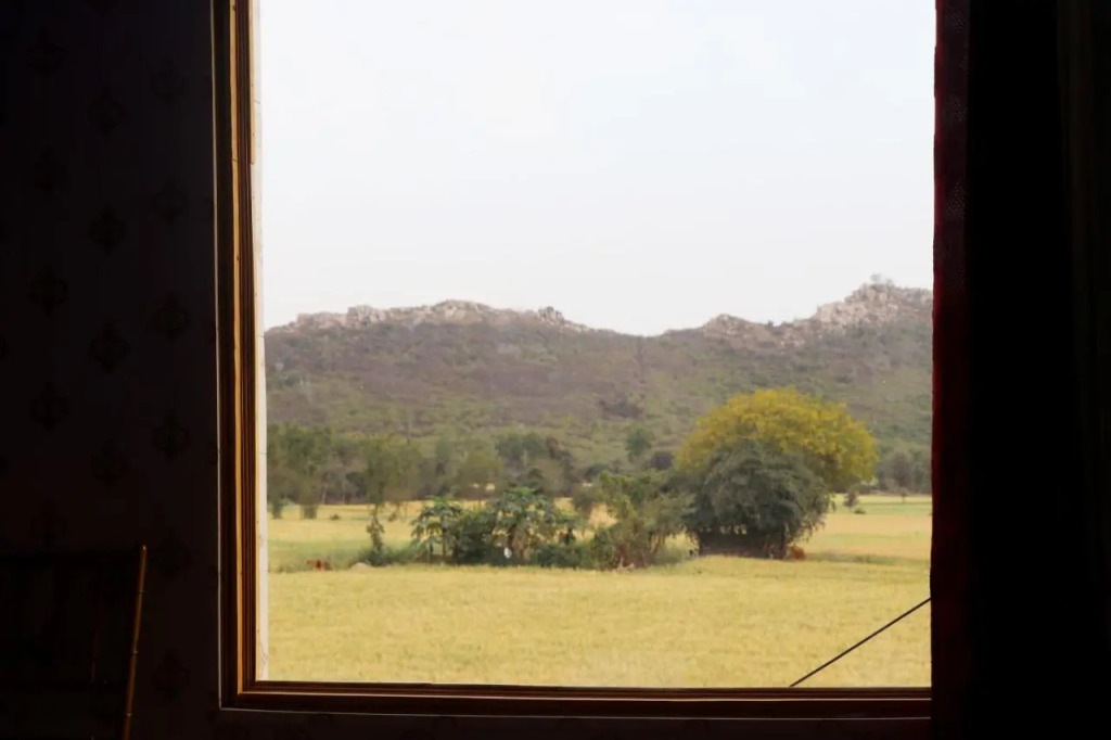 Hotel Krishna Manu Palace