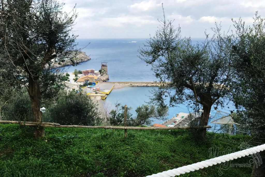 Maison del Mare Sorrento Sea View