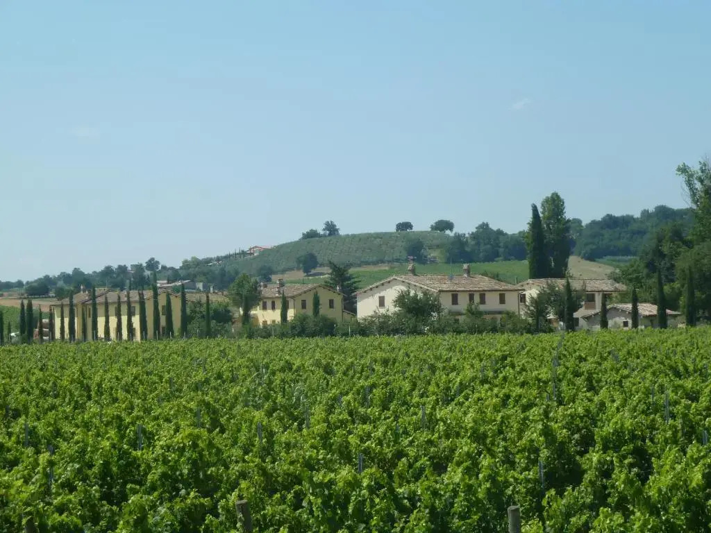 agriturismo villaggio green
