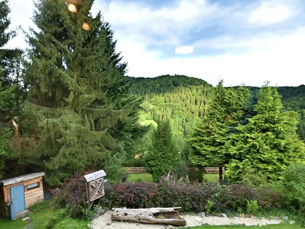 Gruppen- Ferienhaus in Wieda