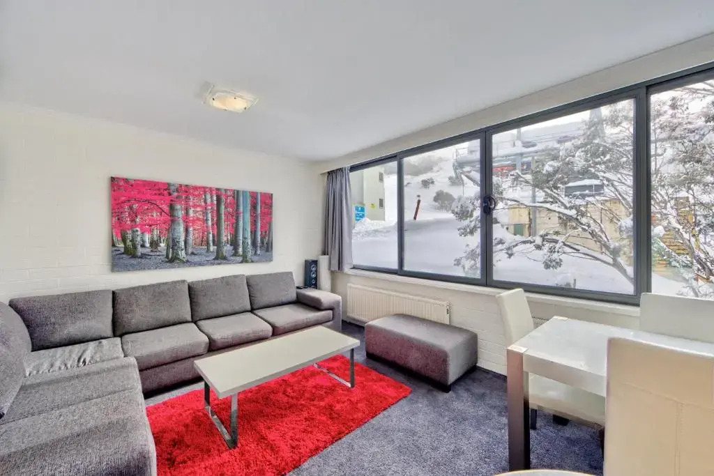 Snow Ski Apartments 08