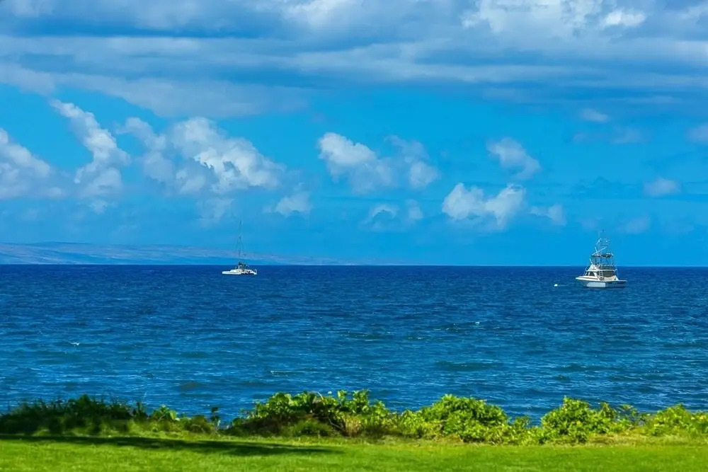 KBM Resorts FREE CAR Maalaea Surf 1-Bedroom Condo with Prime Location and Turtle views MSR-F2