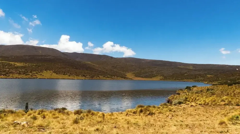 Anabas Mount Kenya Lodge