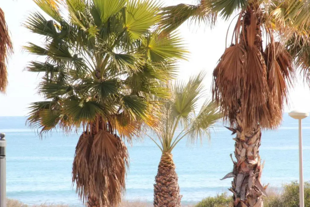 Ibis Budget Alicante