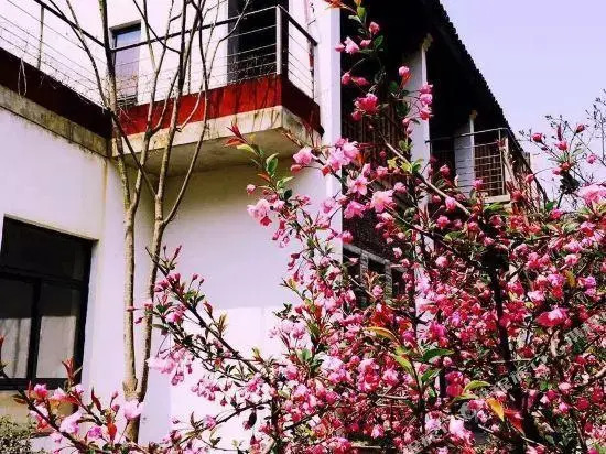 Zhuliguan Boutique Hostel