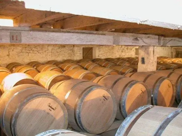 Gîtes du Château de Panisseau