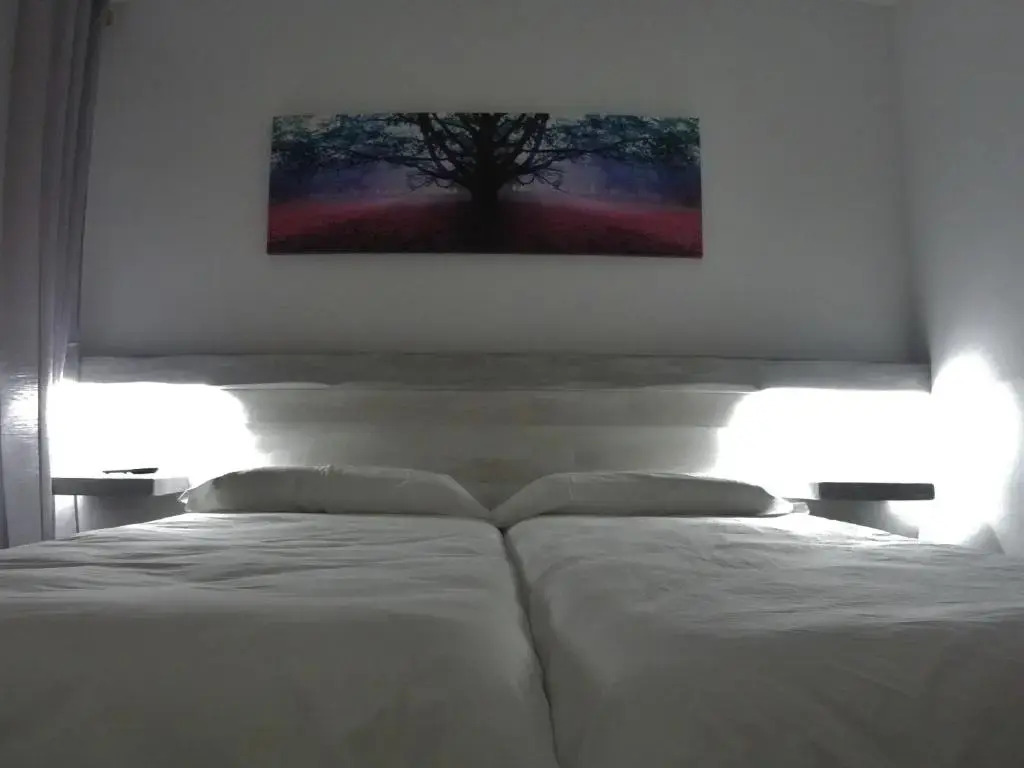 Hostal Casa Palmira