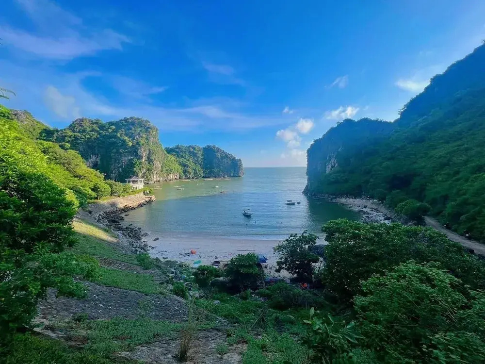 Tropical retreat Homestay