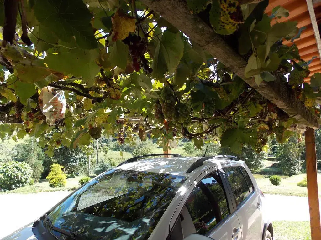 VELINN Hotel Fazenda Fonte das Hortênsias