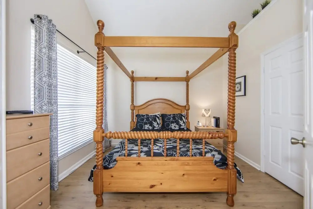 Windsor_palms_8169n