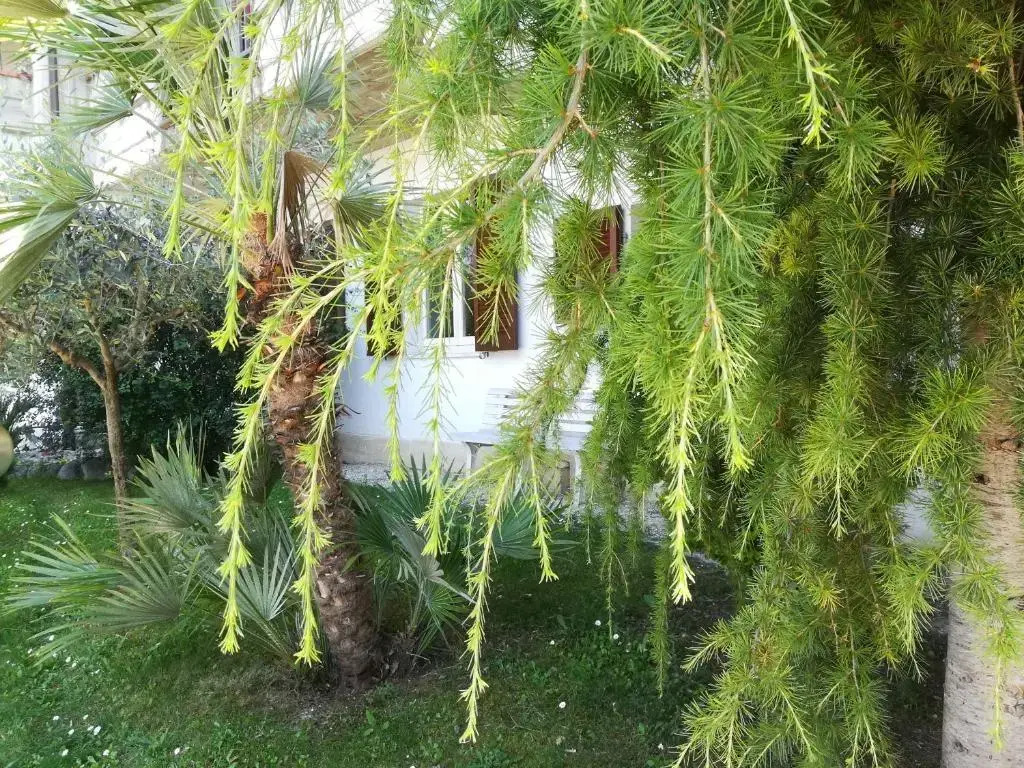 Angolo Felice B&B