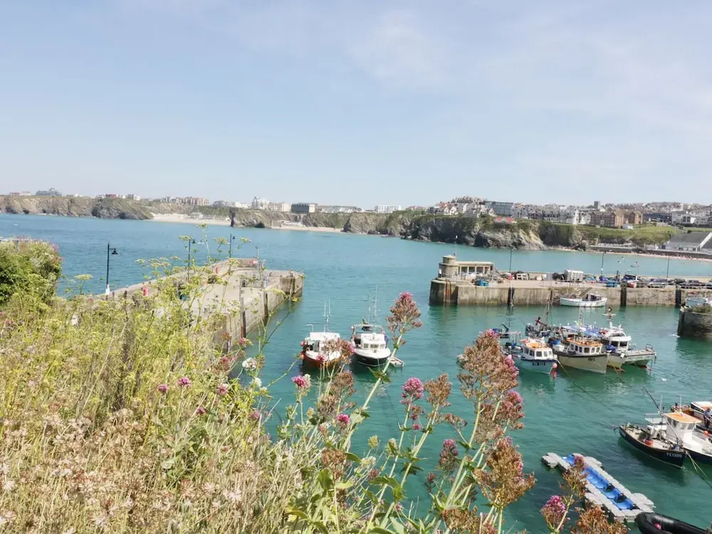 Georges Cove