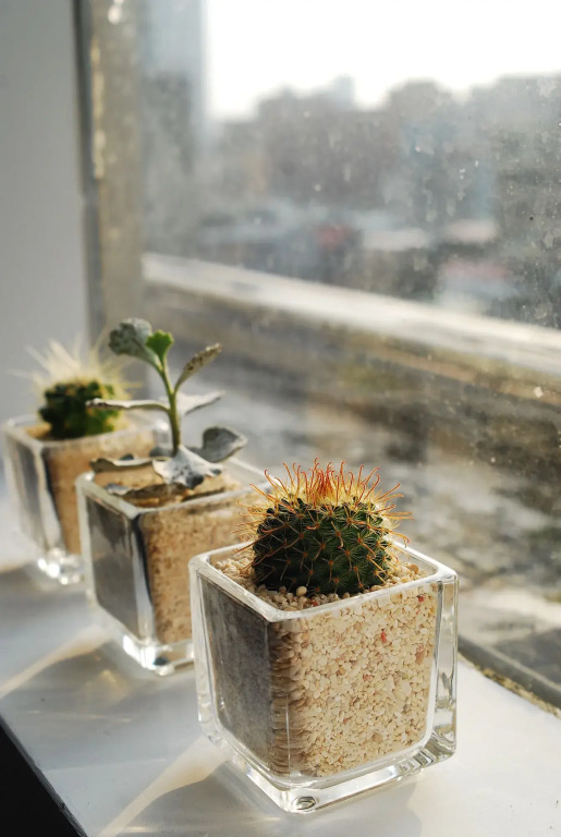 Inn Cube
