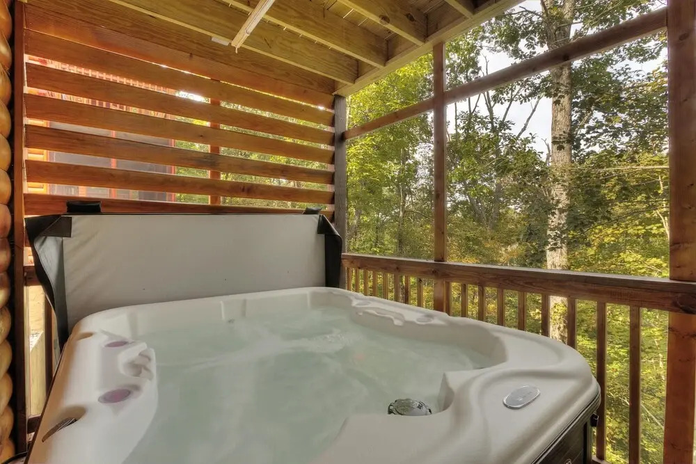 DT 2 Brand NEW Cabins 2 Pools 2 HOT Tubs ETC