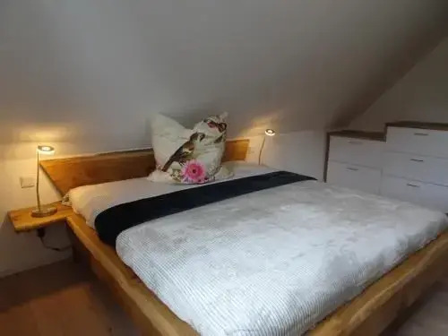 Rosenberg 13 Wohnung 1d DG re