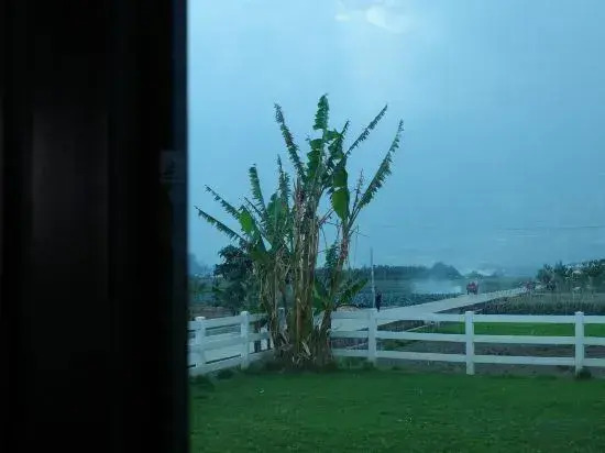 Peak Vista Villa