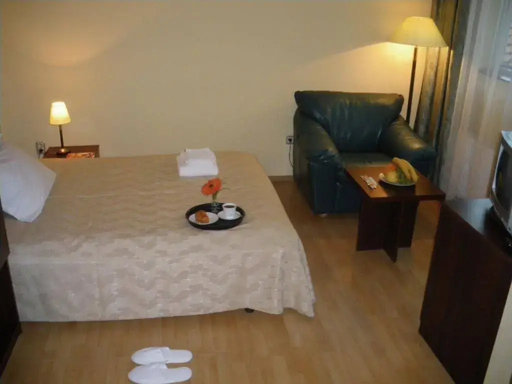Hotel Zenith