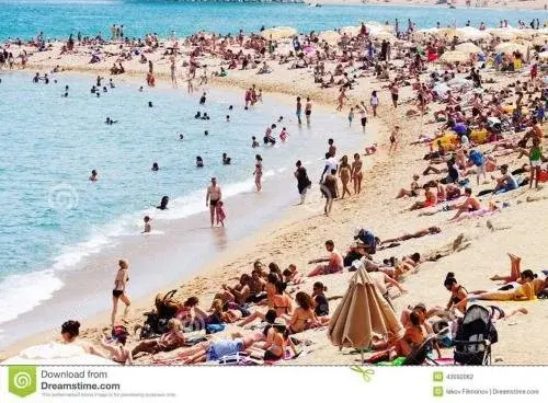 4Villa Magnetic Sands