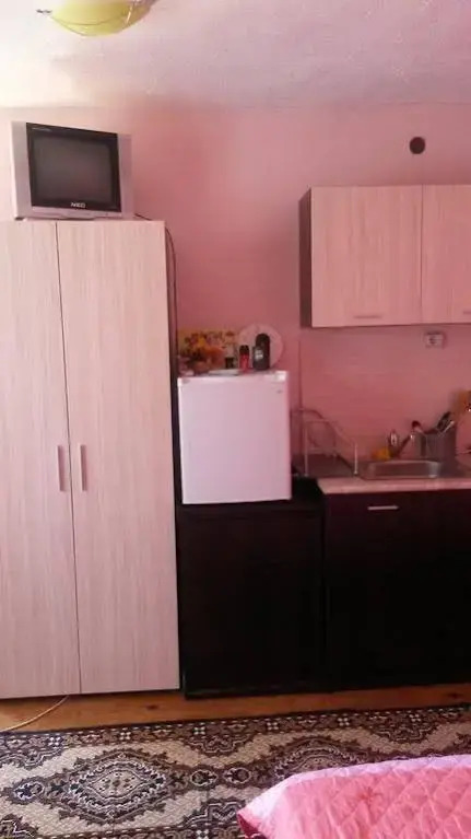 Elena Guest House