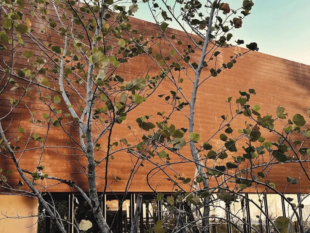 inchantreedoolay huahin