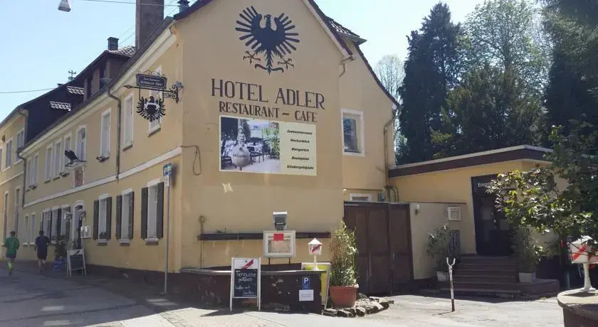 Schwarzer Adler